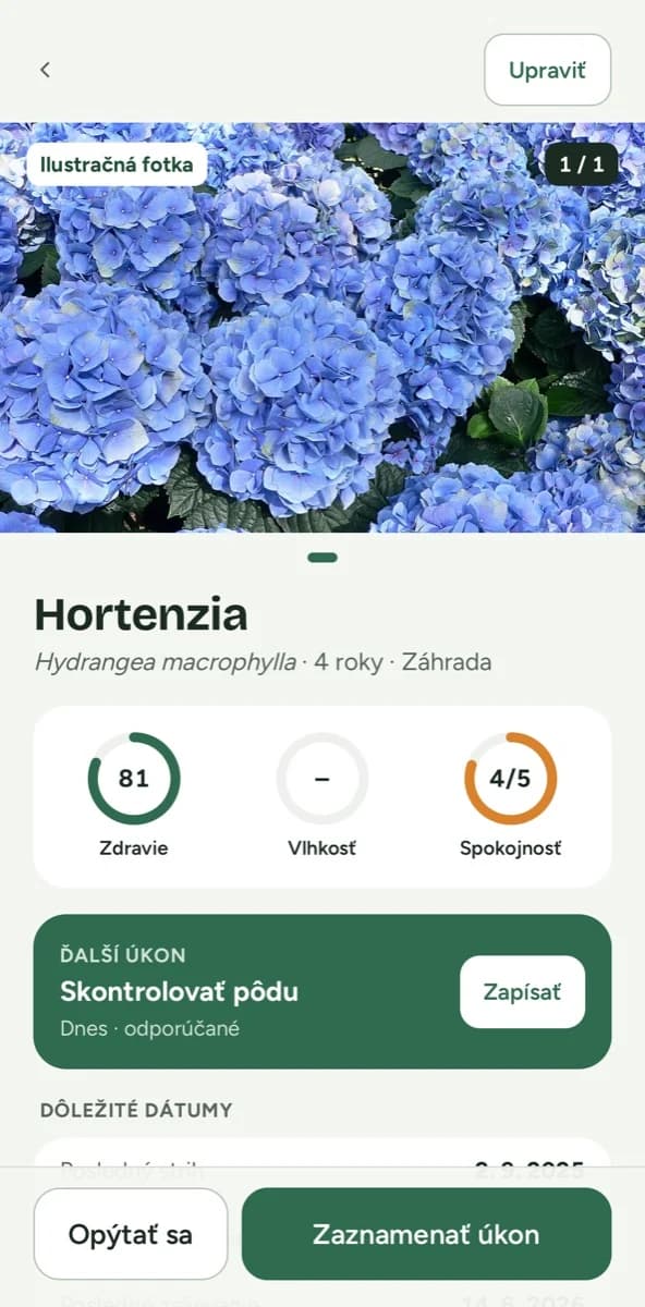 Detail hortenzie vo webovej aplikácii Flori.